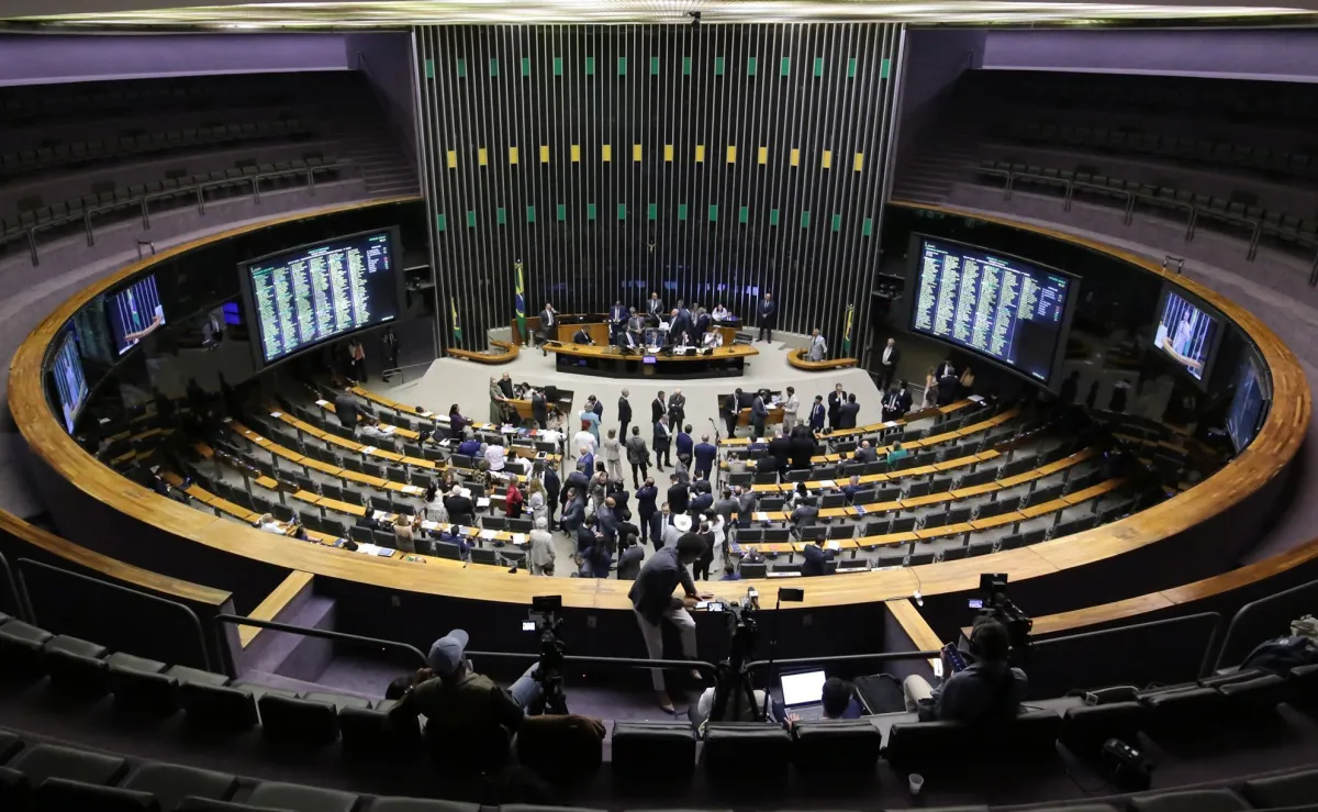 Para Silvana Piroli, proposta ameaça estabilidade, amplia privatizações e reduz autonomia de estados e municípios