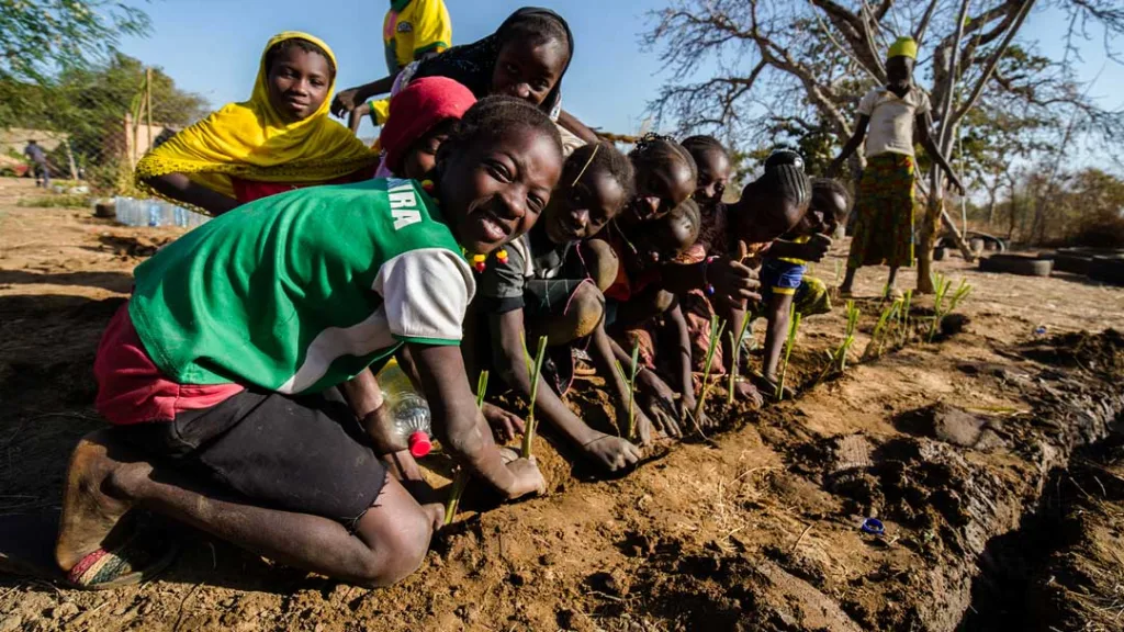 Yelemani Association works towards food sovereignty in Burkina Faso.