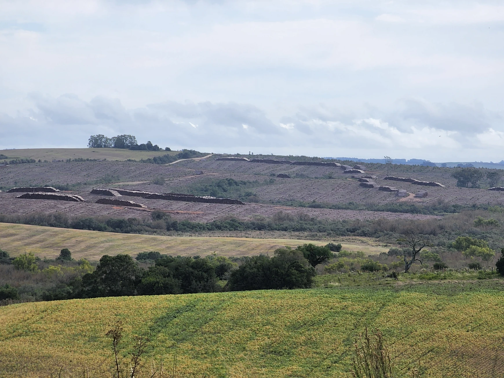 Entidades contestam versão do governo gaúcho sobre o Pampa apresentada na COP30