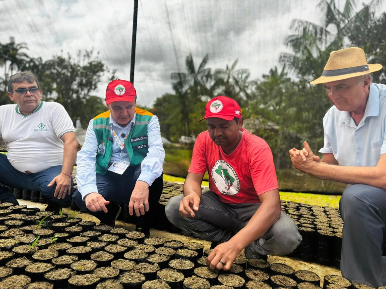 Viveiro coletivo do assentamento tem capacidade de produzir até 100 mil mudas por ano