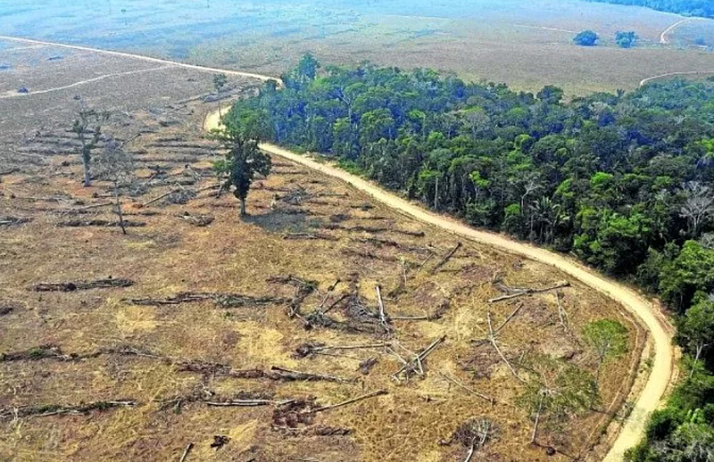 Desmatamento ilegal na Amazônia