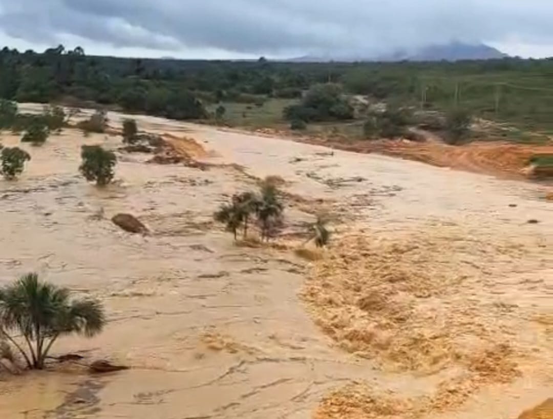 Rompimento da barragem afeta matas