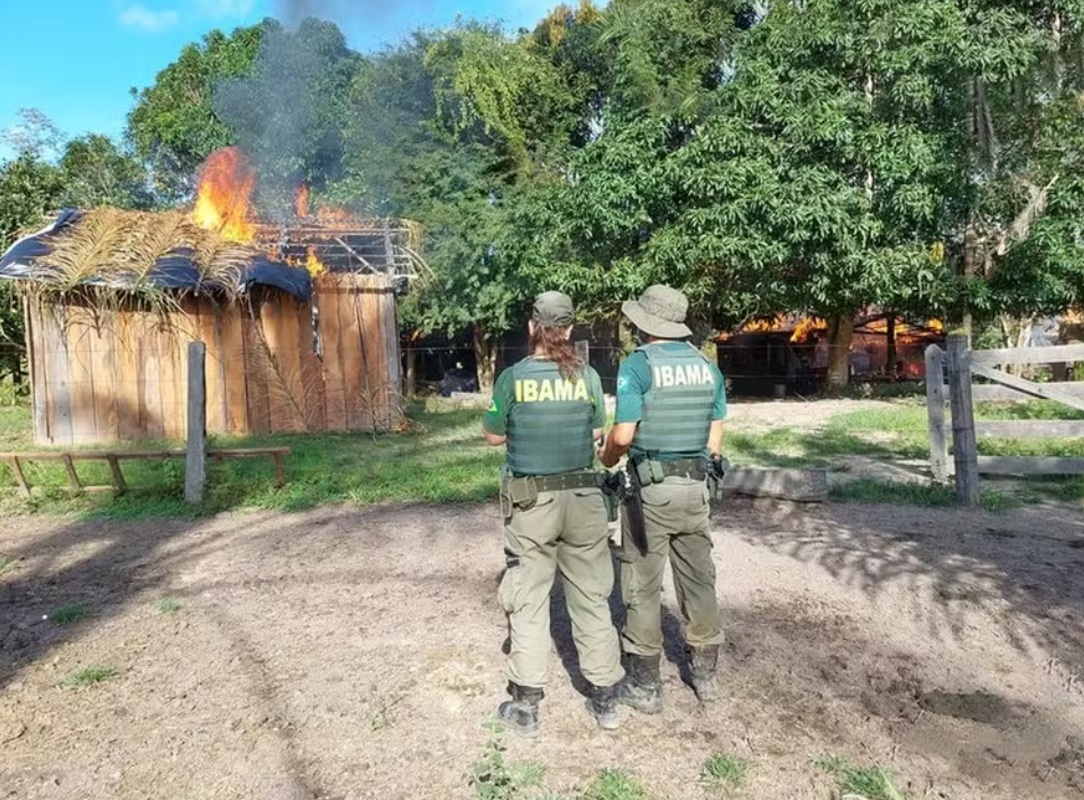De costas, funcionários do Ibama observam uma casa incendiada na Terra Indígena Apyterewa