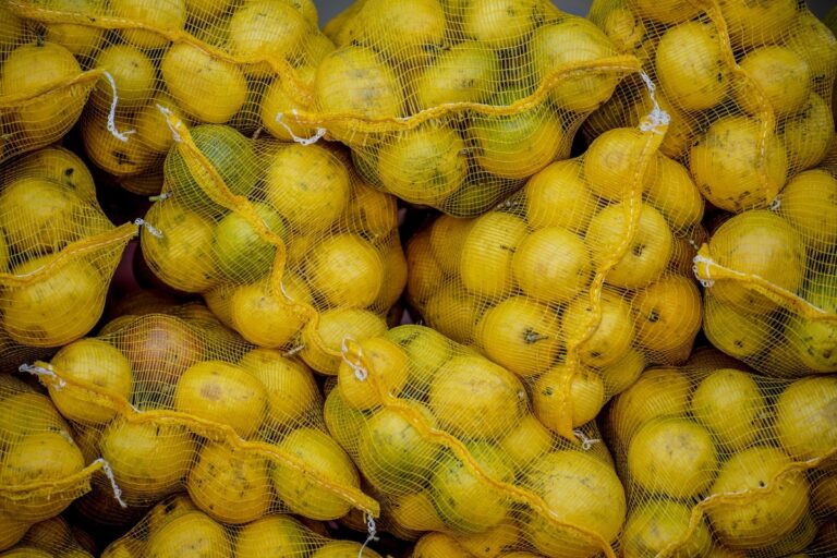 Pepino e laranja são os alimentos campeões de agrotóxicos em nova análise da Anvisa