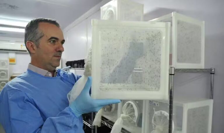 Reconhecido pela Nature, cientista Luciano Moreira defende ampliar método que bloqueia dengue