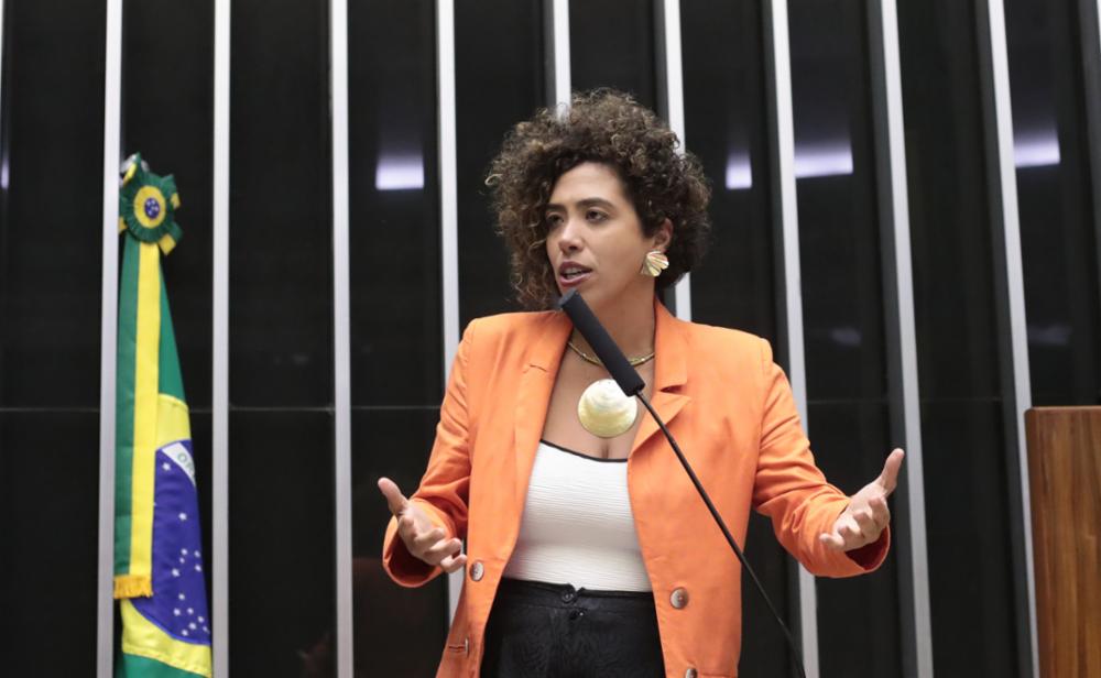 Deputada Talíria Petrone na Câmara dos Deputados