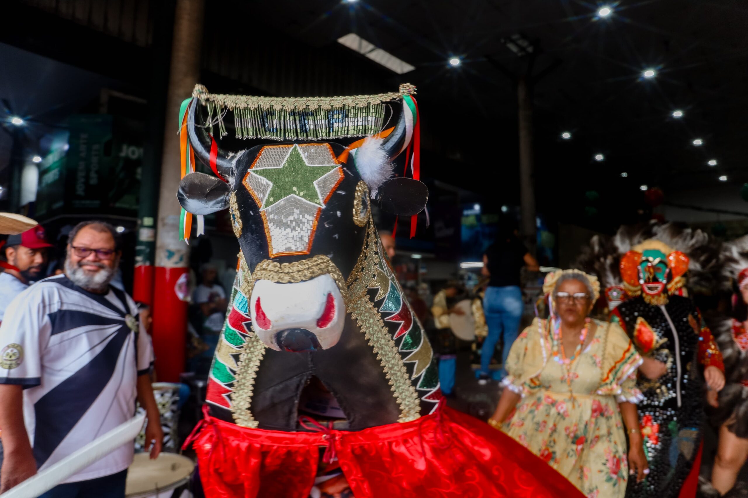 Festa de São Sebastião do Boi de Seu Teodoro