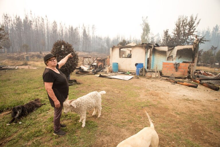 Criminalizados por Milei, indígenas mapuche pedem ajuda em meio a incêndios na Patagônia