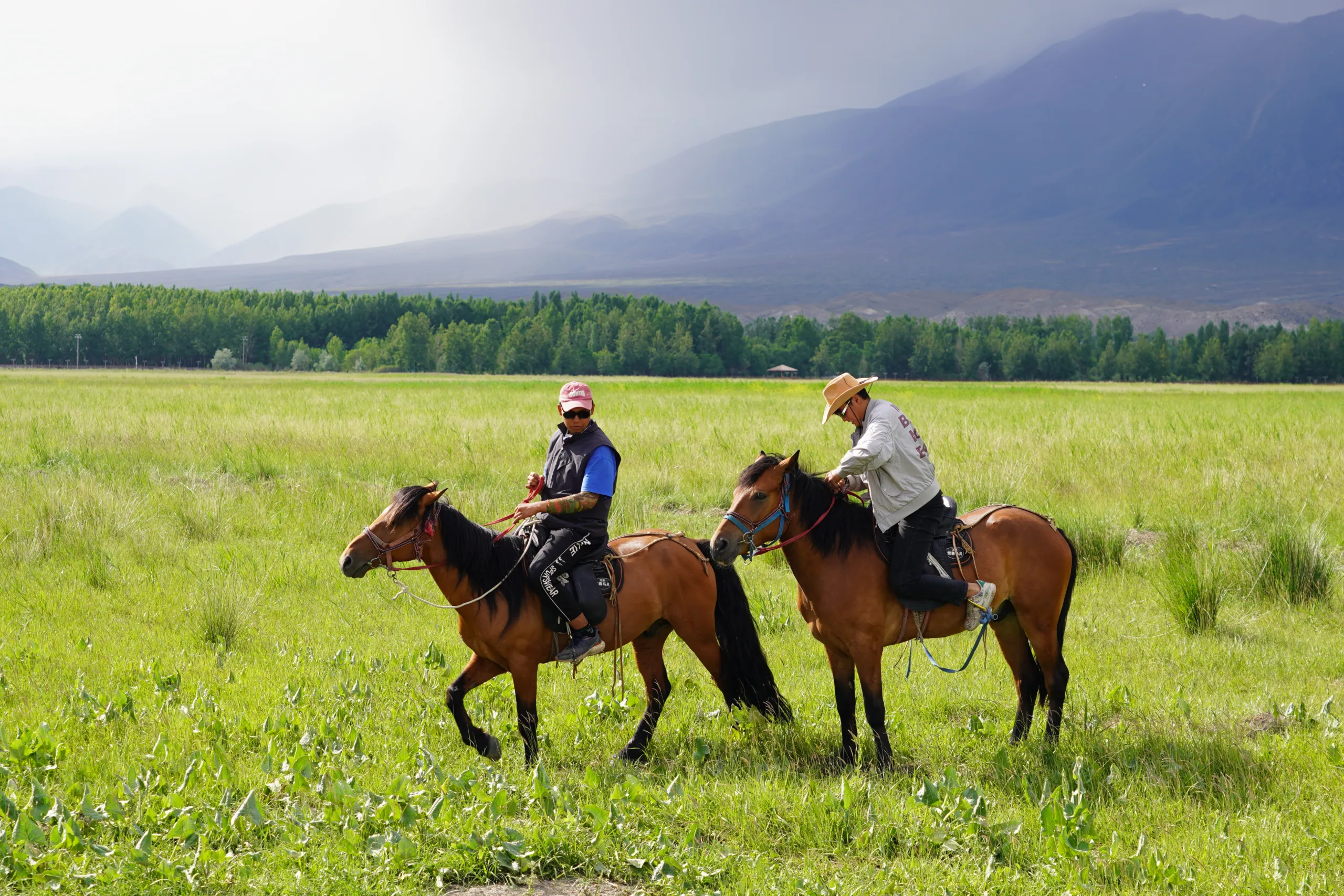 Camponeses da Região Autônoma Uigur de Xinjiang, 17 de junho de 2025