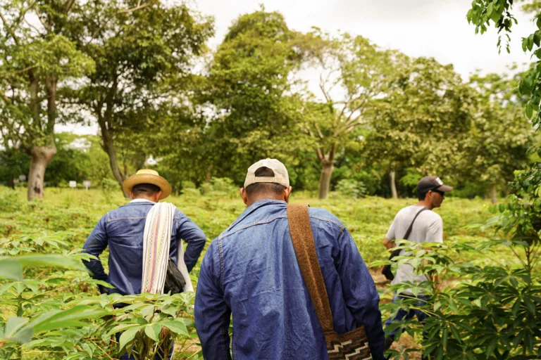 Na Colômbia, camponeses ocupam terras, aprendem agroecologia e querem reforma agrária popular