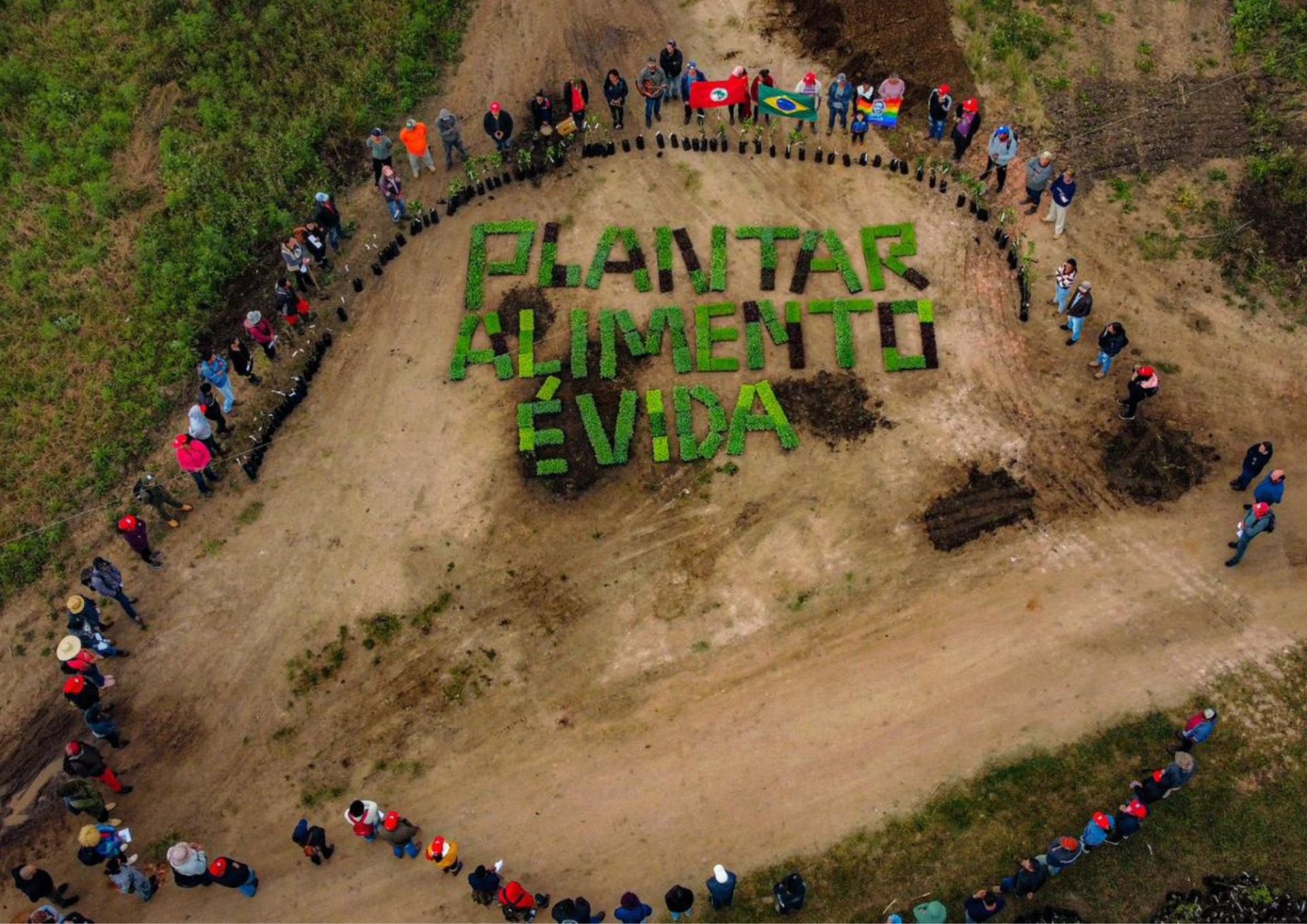 MST lançou em 2020 o plano "Plantar árvores, produzir alimentos saudáveis", com a meta de plantar 100 milhões de árvores até 2030.