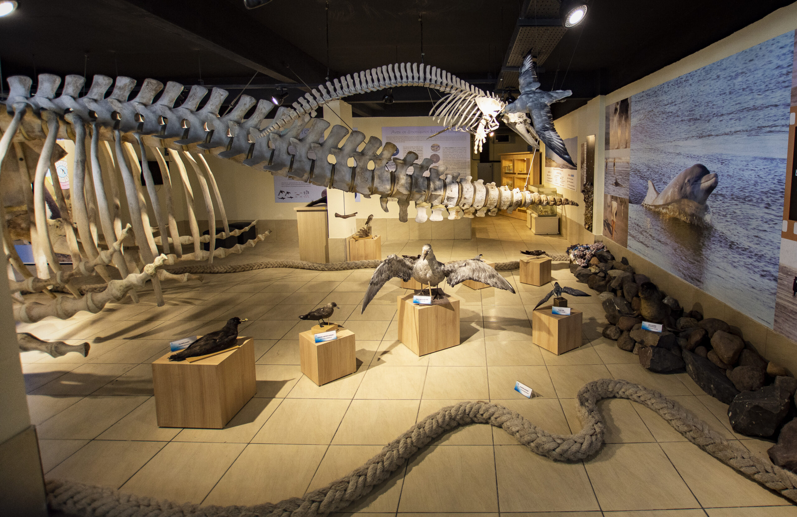 Museu de Ciências Naturais da Ufrgs