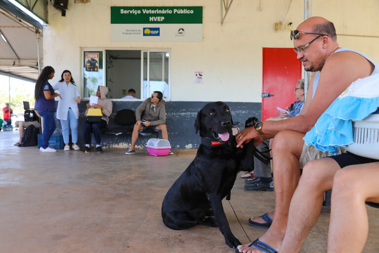 Falta de médicos no Hospital Veterinário Público do DF impacta atendimento
