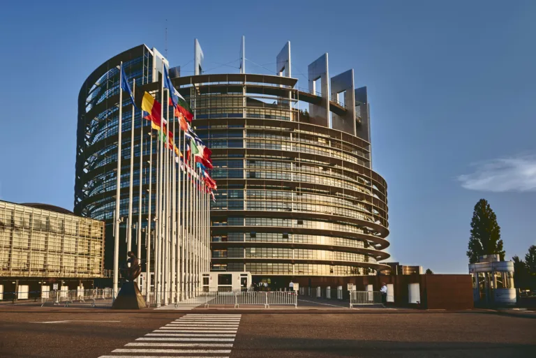 'Vitória do campesinato', diz Via Campesina após Parlamento Europeu travar acordo com Mercosul