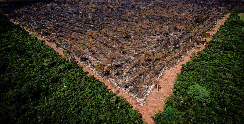 Em vigor desde 2006, Moratória da Soja funciona como complemento à preservação da Amazônia