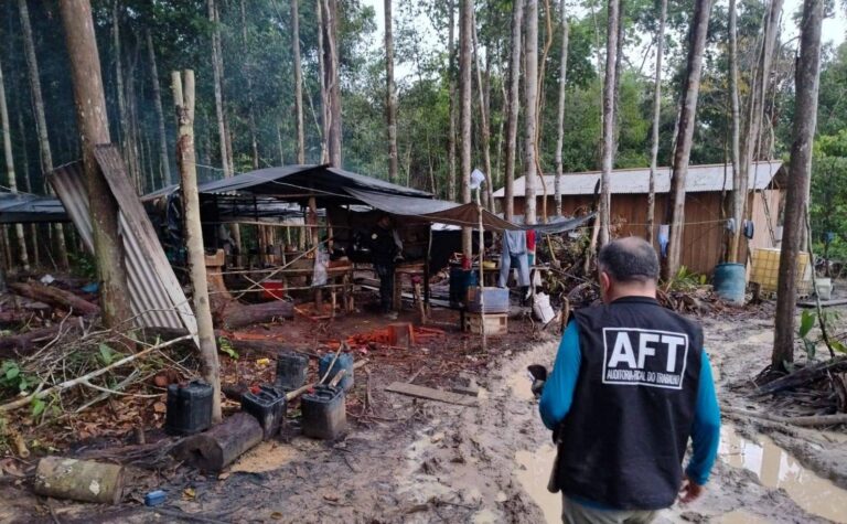 No Brasil, 57% dos casos de trabalho escravo acontecem em atividades que devastam o ambiente