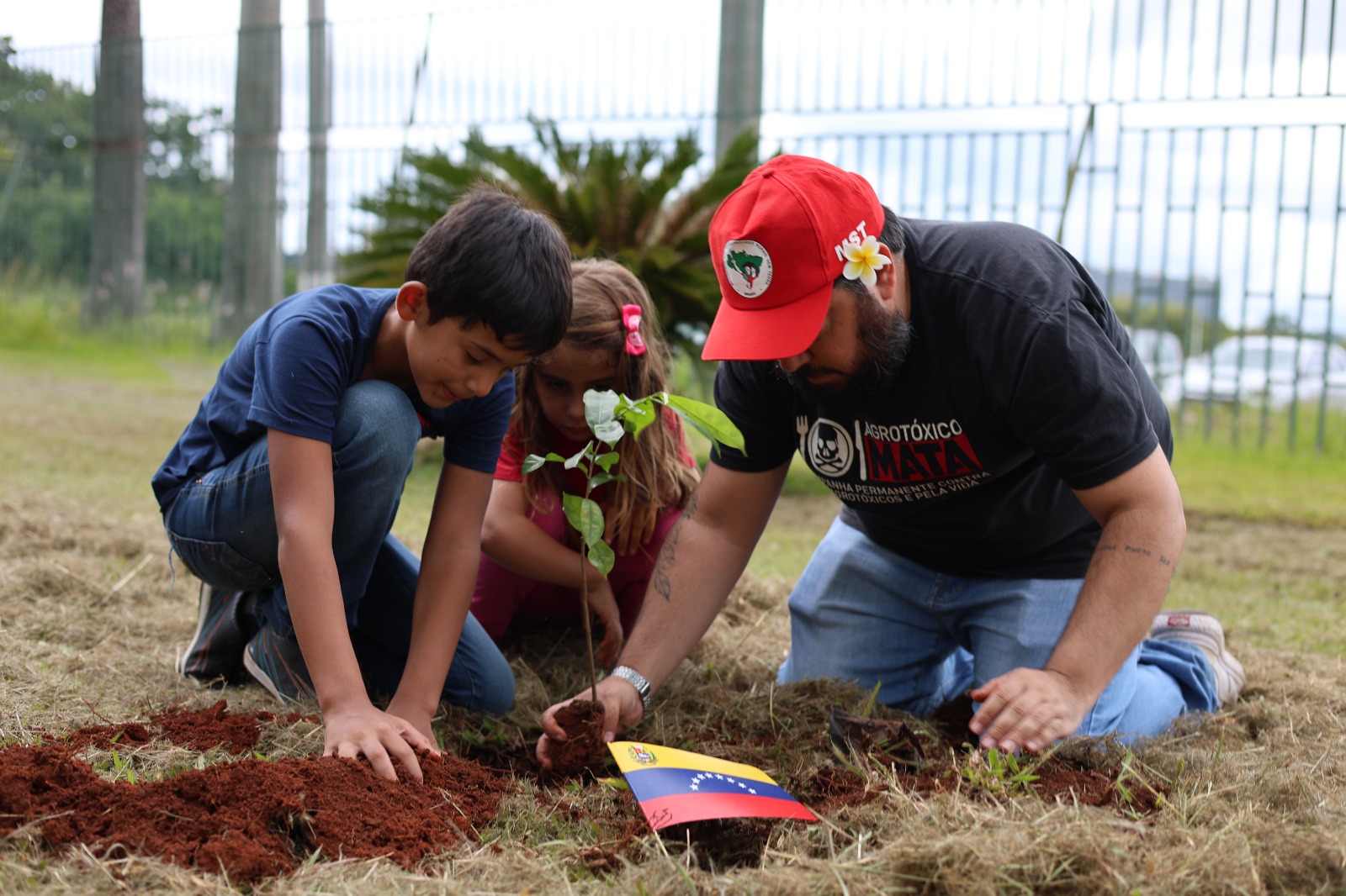 Mudas de araucária, baobá e graviola foram plantadas nas embaixadas de Cuba e Venezuela, em Brasília.
