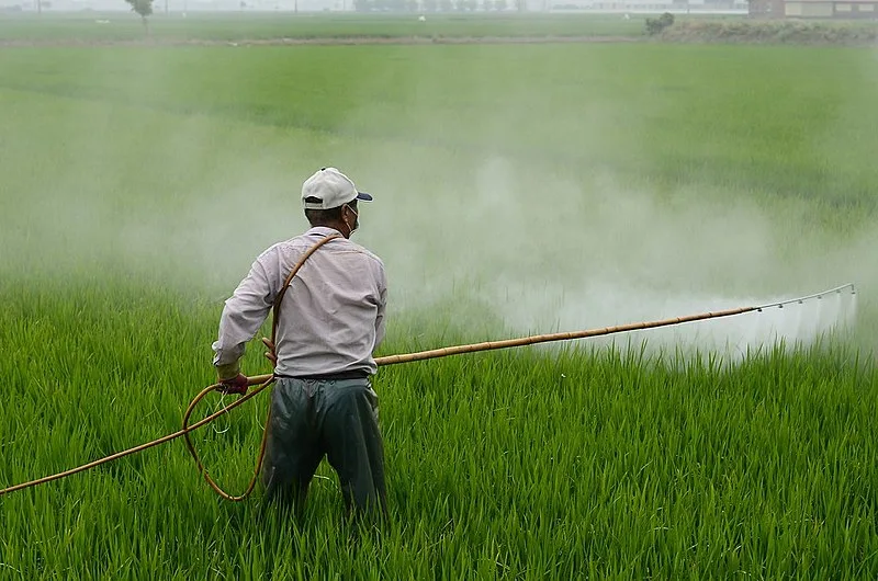 Agricultor pulveriza plantação com herbicida