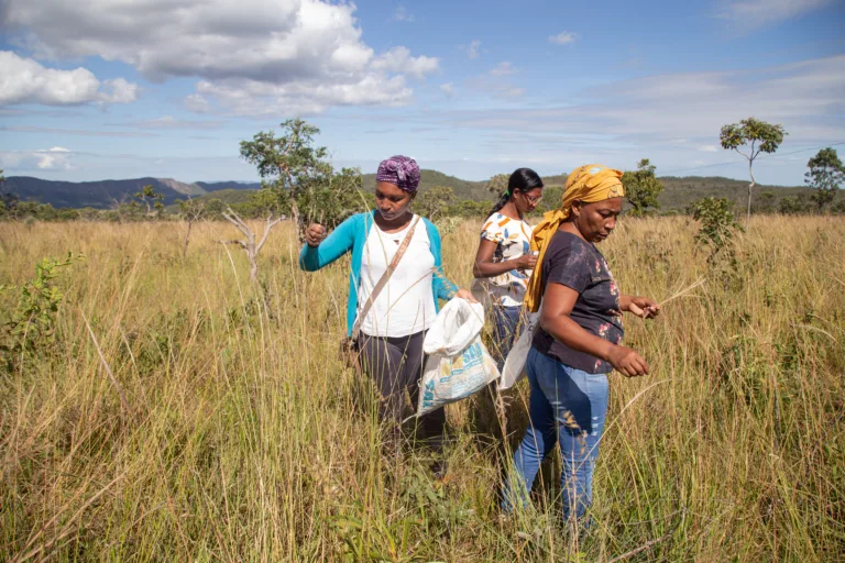 Restauração ecológica: mulheres sustentam a base, mas ainda são minoria nas decisões