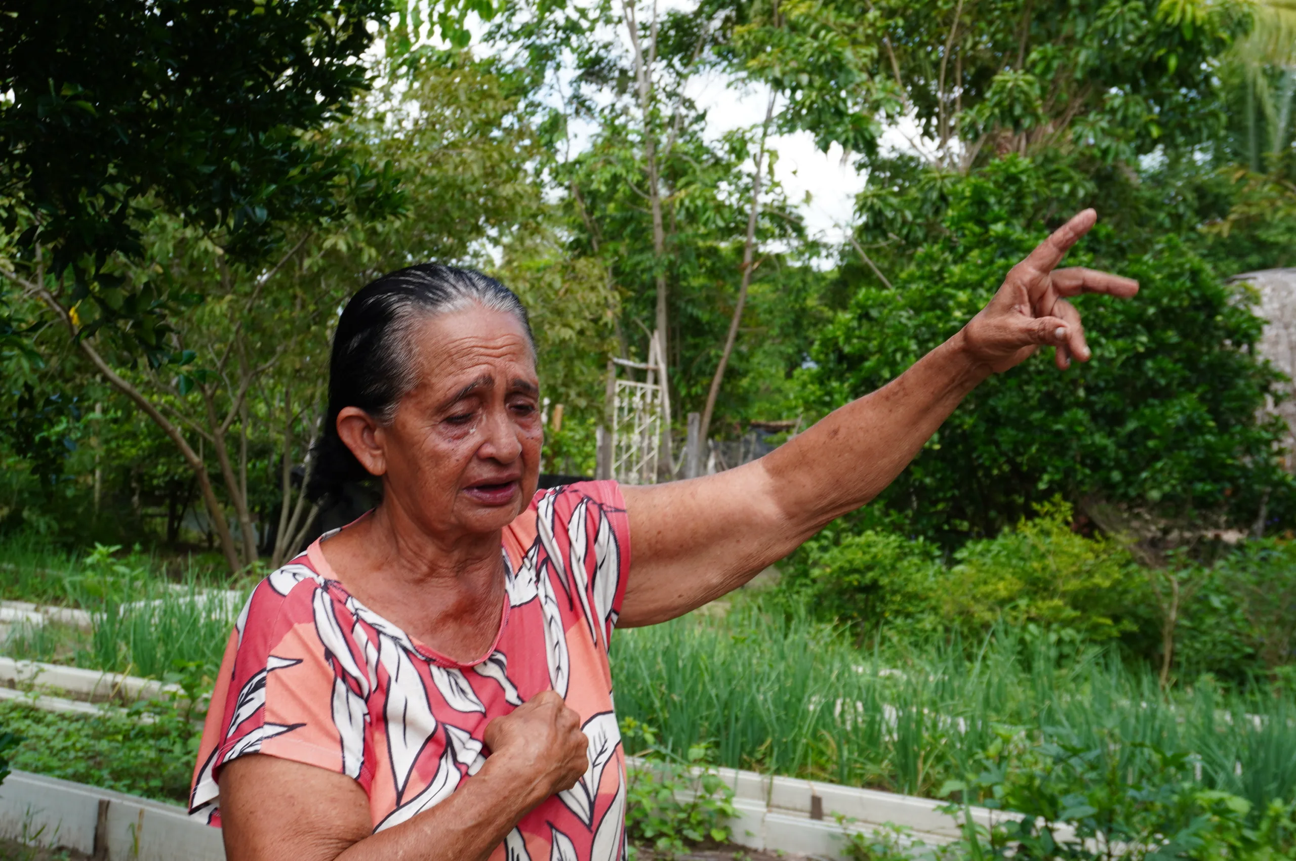 Família de agricultores atingida por agrotóxicos lamenta perda de alimentos e sustento