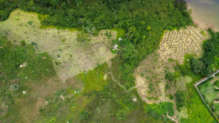 Entrega da Serrinha do Paranoá para salvar BRB ameaça 119 nascentes e abastecimento do DF