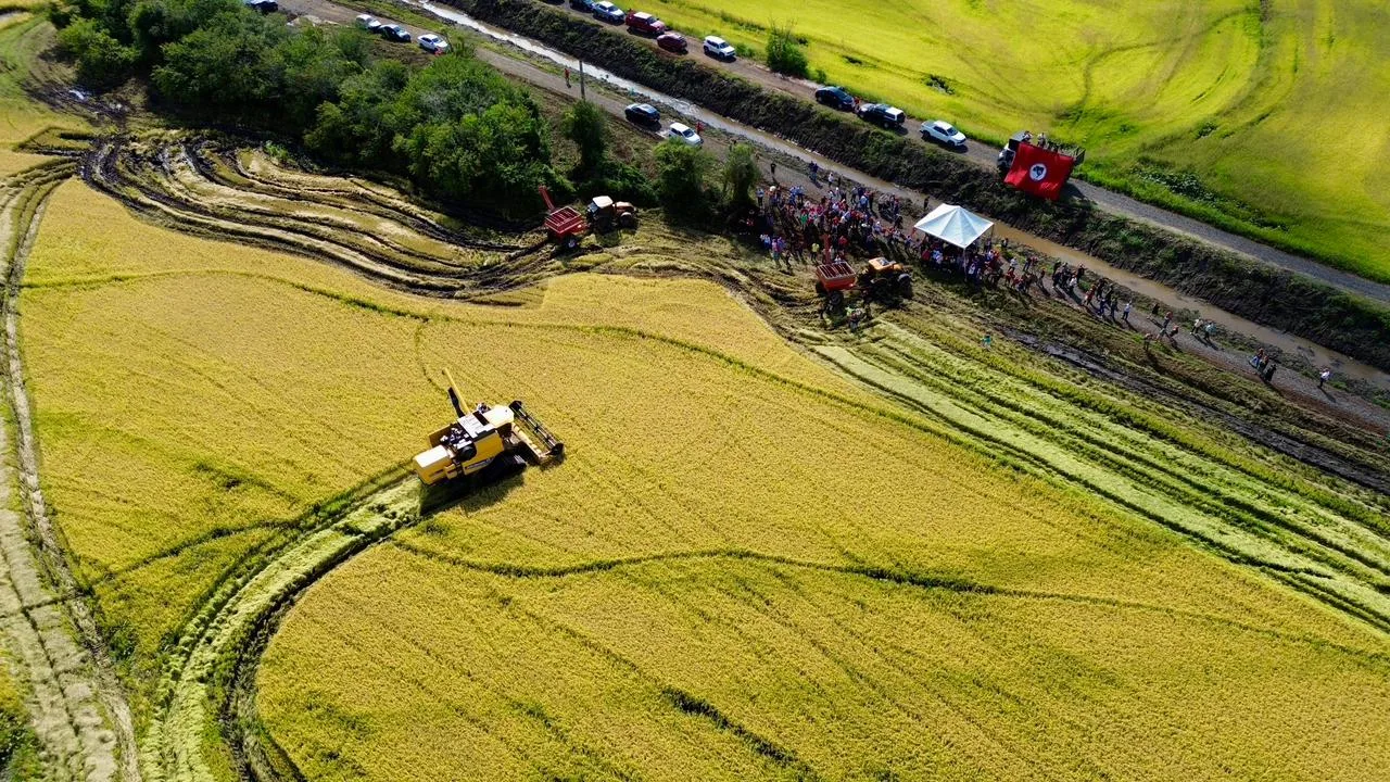 23ª Festa da Colheita do Arroz Agroecológico em assentamento gaúcho