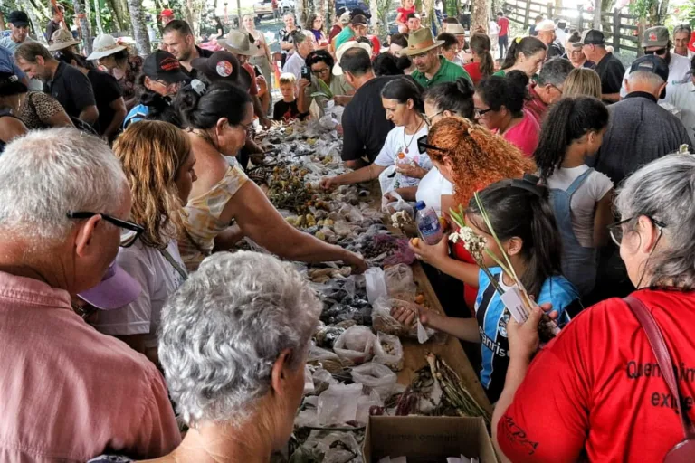 9ª Festa da Semente Crioula reafirma resistência camponesa e soberania alimentar em Seberi (RS)