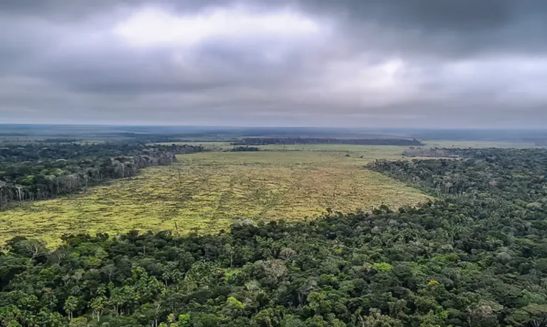 Herança da COP30, projeto internacional em SP pode construir consensos sobre crise climática