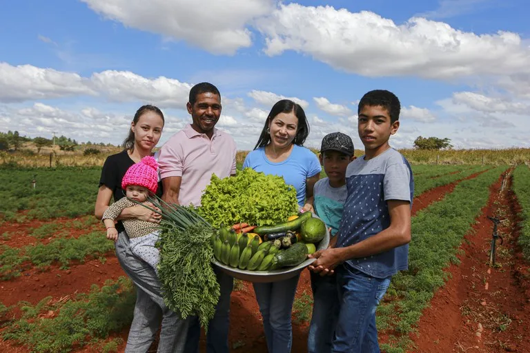 Agricultura familiar produz alimentos que vão à mesa da população