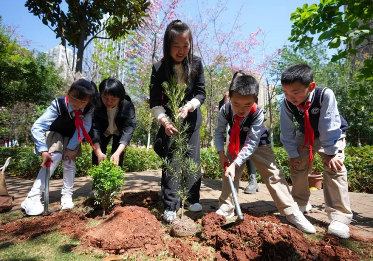 O que diz o novo Código Ecológico e Ambiental recentemente aprovado na China