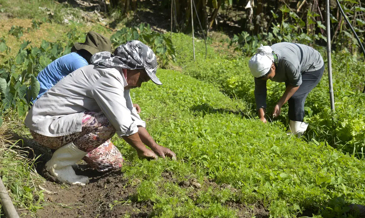 Projeto vai realizaar o Cadastro Ambiental Rural (CAR) em 50 comunidades quilombolas na bacia hidrográfica do Guaíba