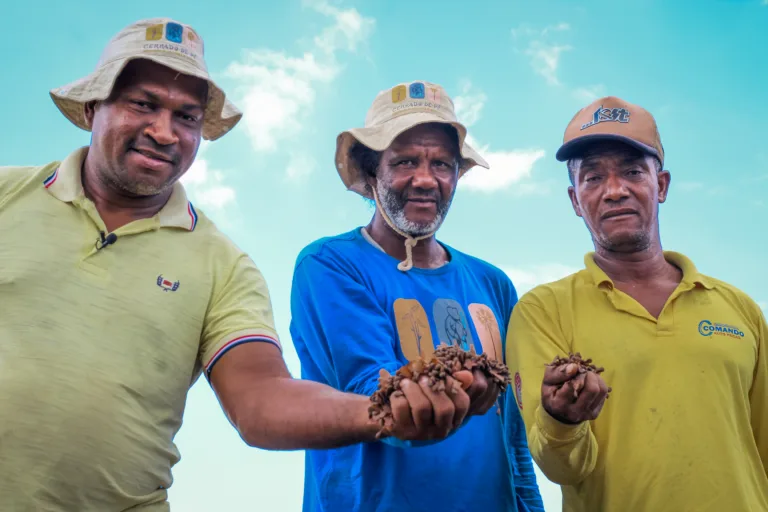 Sementes, território e resistência: a força das comunidades na restauração do Cerrado 