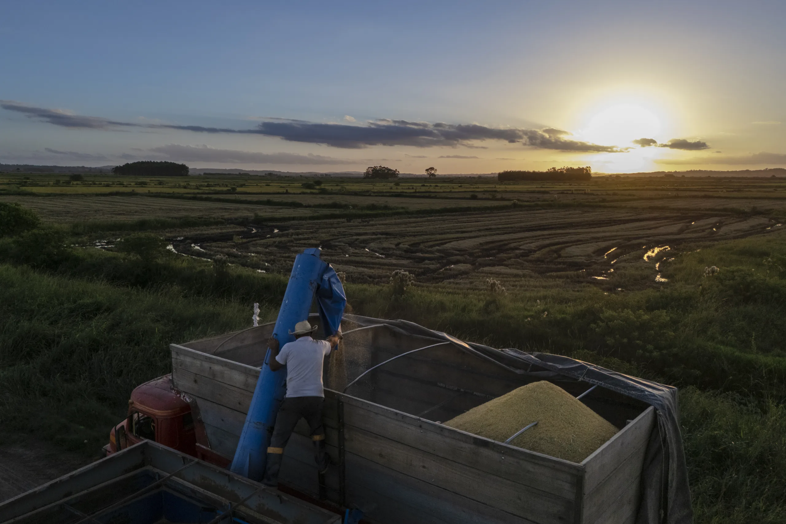 Trabalhadores rurais reivindicam programas de incentivo, de acesso e também de divulgação da importância e da relevância do trabalho feito pela agricultura familiar
