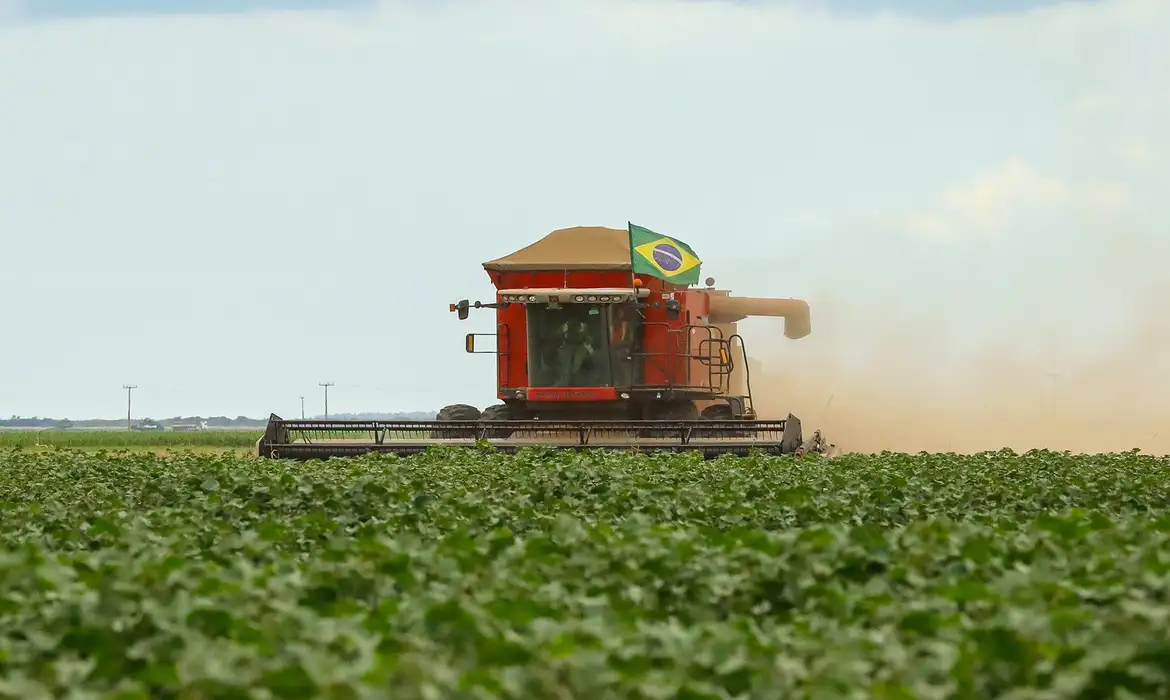 setor do agronegócio