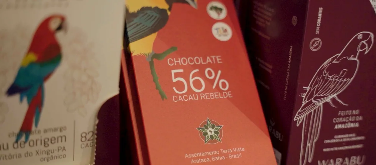 cacau
