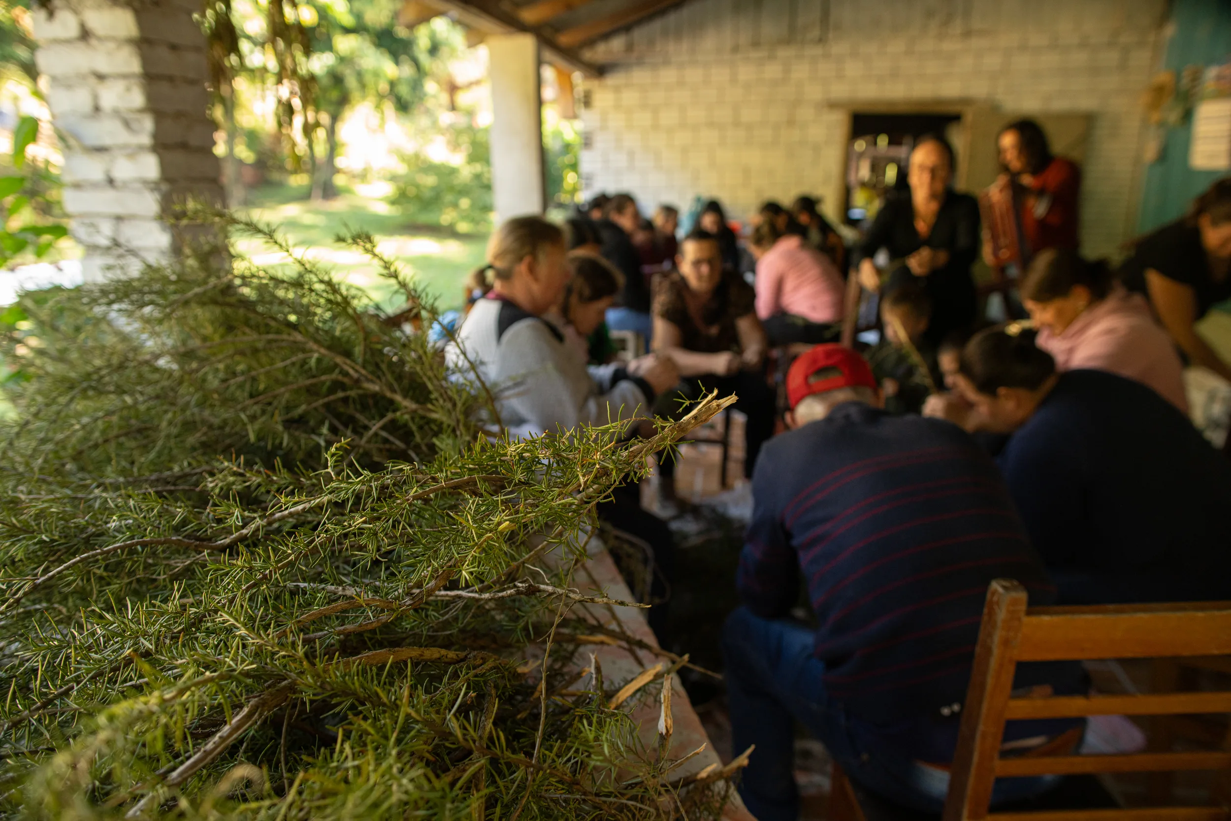 Plantas medicinais costuram encontros no Interior com intuito de melhorar quadros de depressão e ansiedade