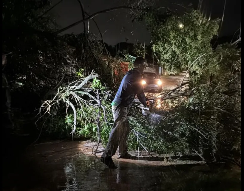 Árvores caíram e bloquearam ruas em Cachoeira do Sul