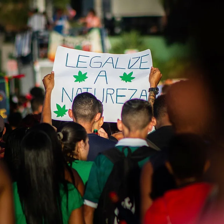 Marcha da Maconha ocupa Fortaleza com defesa da legalização e acesso à cannabis medicinal