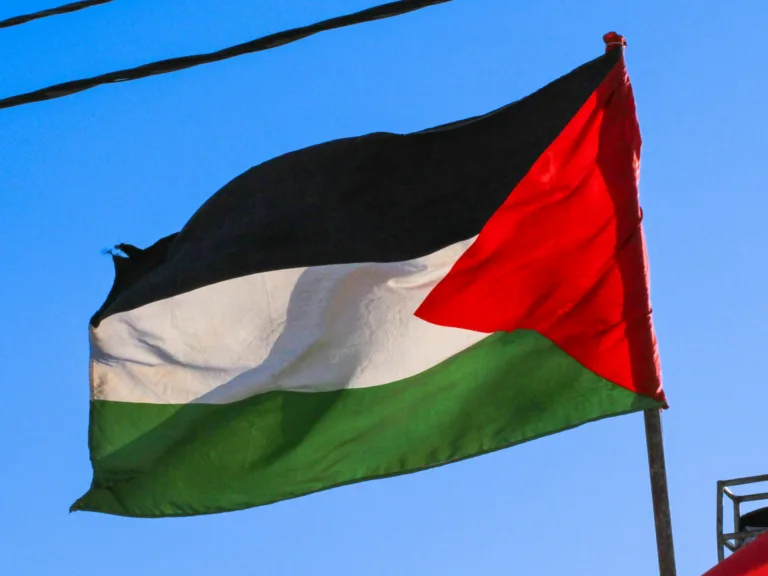 Organizações pró-Palestina convocam atos pelo Brasil no marco dos 78 anos da Nakba