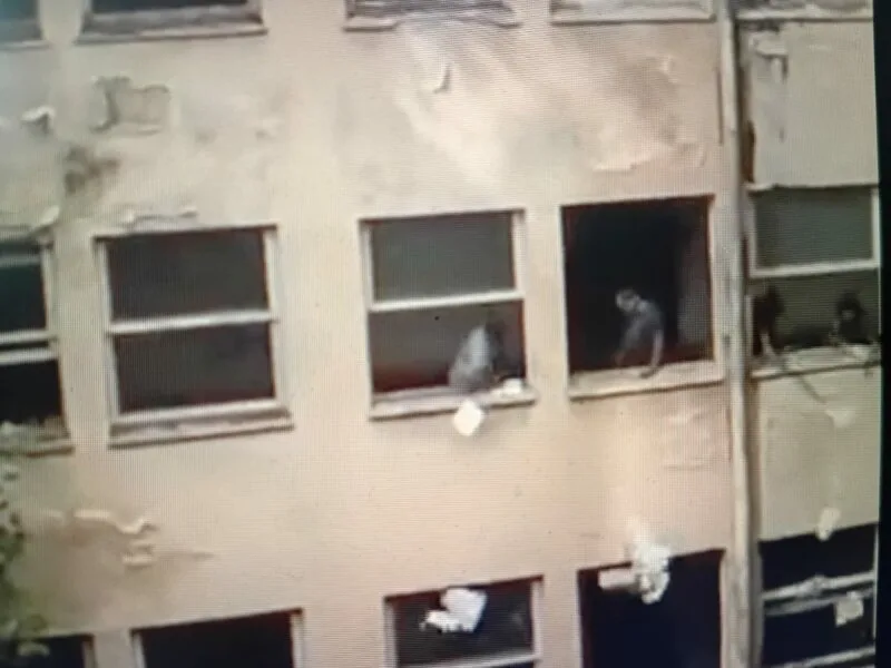 Vídeo em que registrou documentos sendo jogados do prédio viralizou na última semana