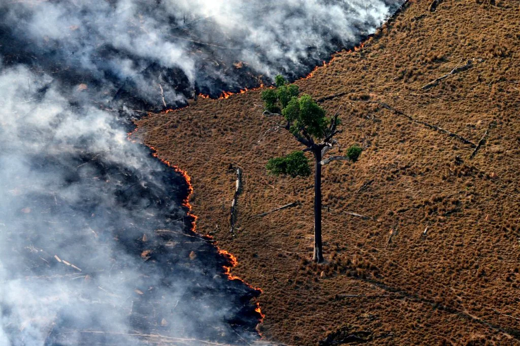 Segundo pesquisadores, flexibilização pode ampliar as emissões de carbono, reduzir capacidade de resposta a eventos climáticos extremos e aumentar risco de sanções comerciais internacionais e boicotes a produtos brasileiros em mercados que exigem critérios socioambientais mais rigorosos