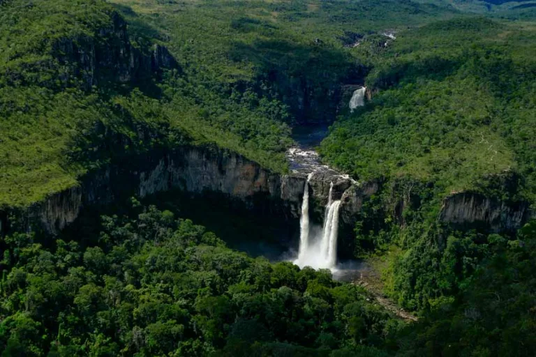 Cerrado ameaçado: proteção de territórios estratégicos trata da sobrevivência coletiva