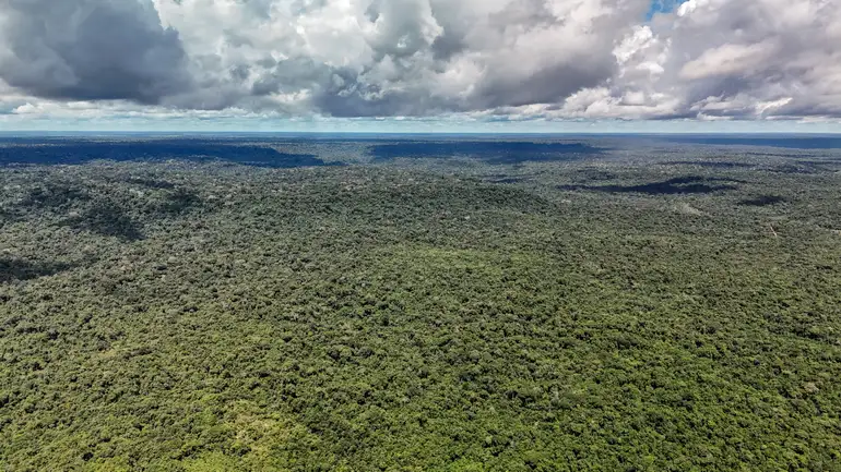Floresta Nacional do Tapajós, Belterra, Pará.