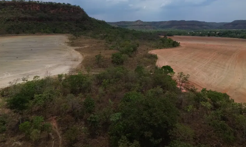 Área de vegetação nativa remanescente cercada por áreas já convertidas para uso agropecuário no Matopiba. A região concentra cinco dos dez municípios que mais desmataram no Brasil em 2025, segundo o MapBiomas.