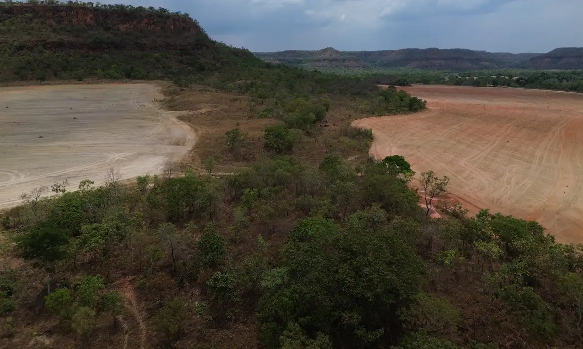 Área de vegetação nativa remanescente cercada por áreas já convertidas para uso agropecuário no Matopiba. A região concentra cinco dos dez municípios que mais desmataram no Brasil em 2025, segundo o MapBiomas.