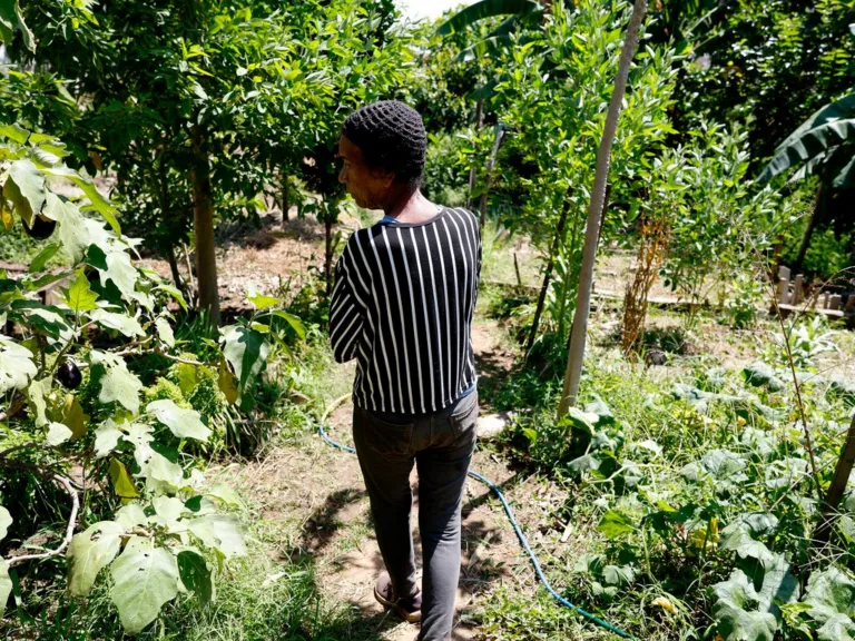 Aprovada em 2019, lei do RJ que prevê incentivo a produtor agroecológico não foi regulamentada