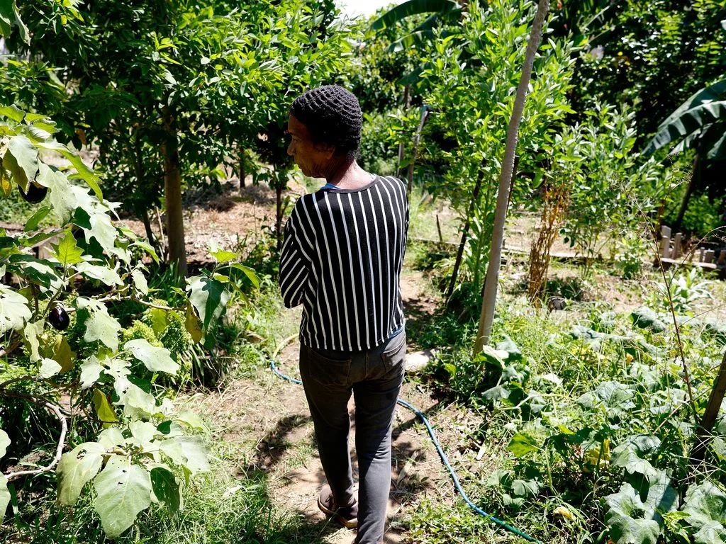 Coletivo de Erveiras e Erveiros mantém horta comunitária agroecológica no Morro do Salgueiro, zona norte do Rio