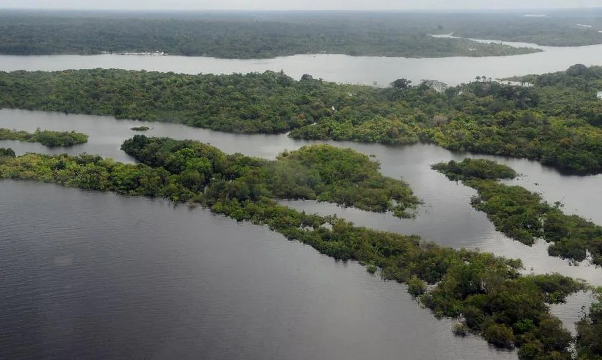 Vista aérea da Floresta Amazônica